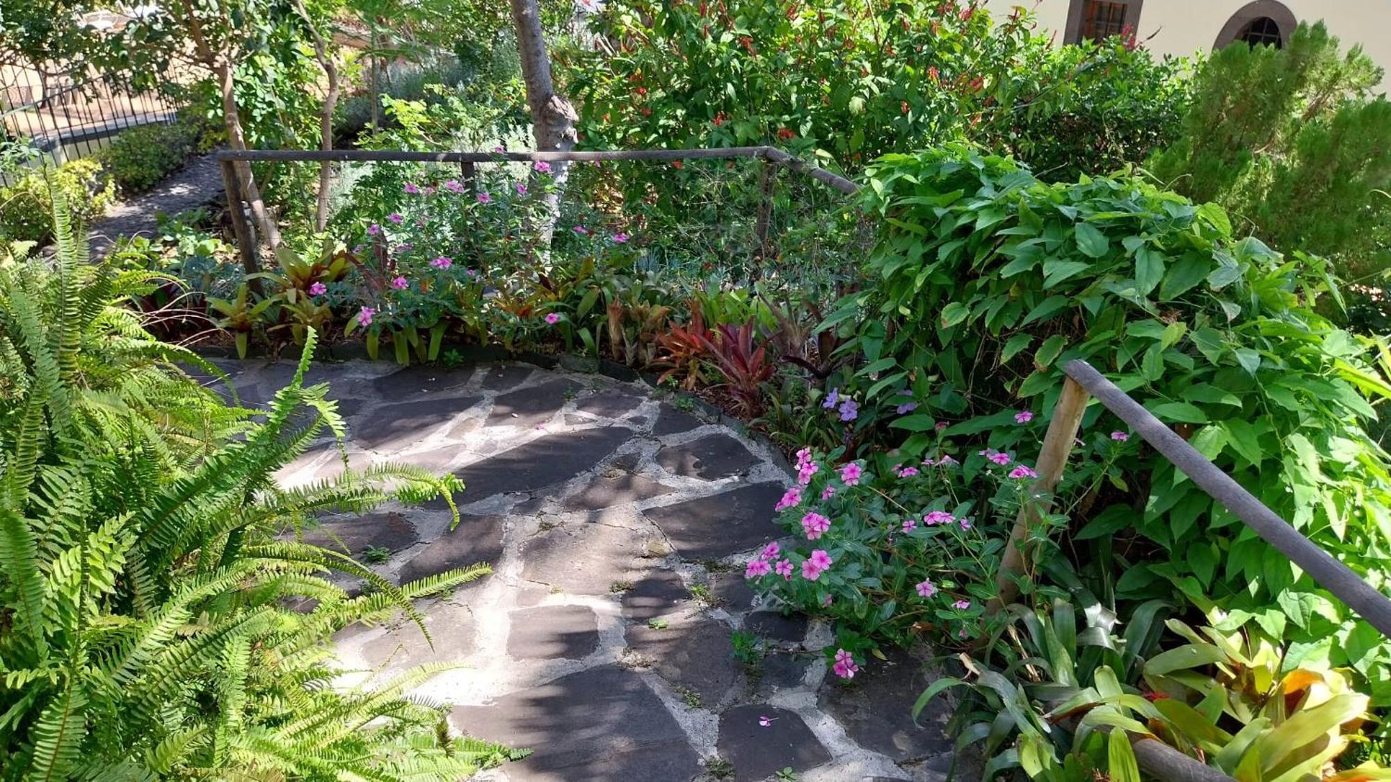 Vila Calaca Funchal  Exteriör bild