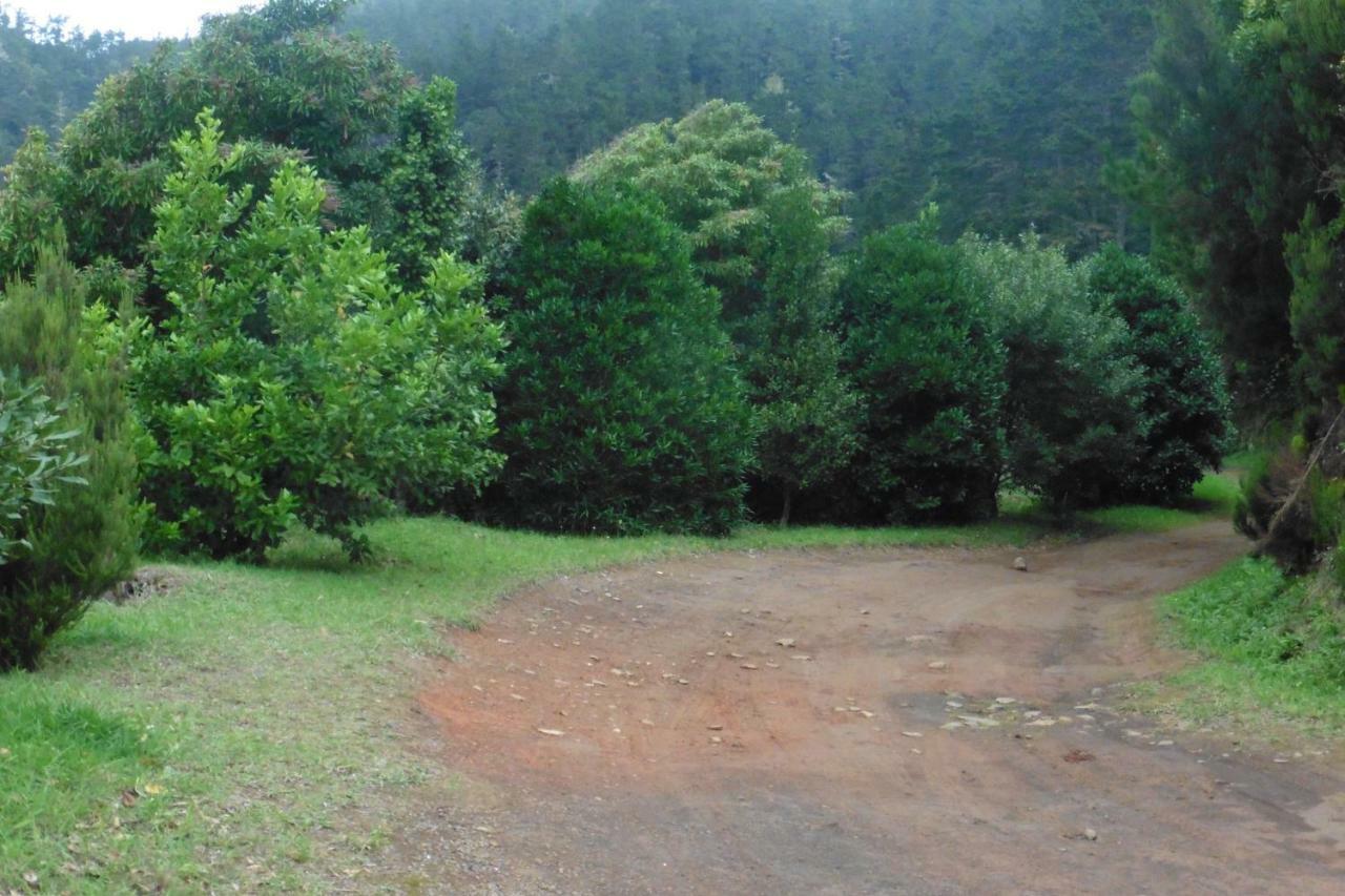 Vila Calaca Funchal  Exteriör bild